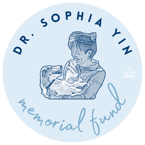 VIN Foundation | Supporting veterinarians to cultivate a healthy animal community | Resources | Dr. Sophia Yin Memorial Fund