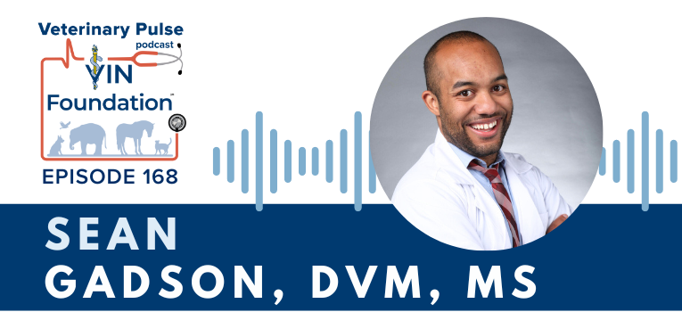 VIN Foundation | Supporting veterinarians to cultivate a healthy animal community | free resources veterinary students veterinarians | Blog | Veterinary Pulse Podcast | Dr. Sean Gadson on his persistence to break into the veterinary profession coming from an underrepresented community, and his commitment to support colleagues