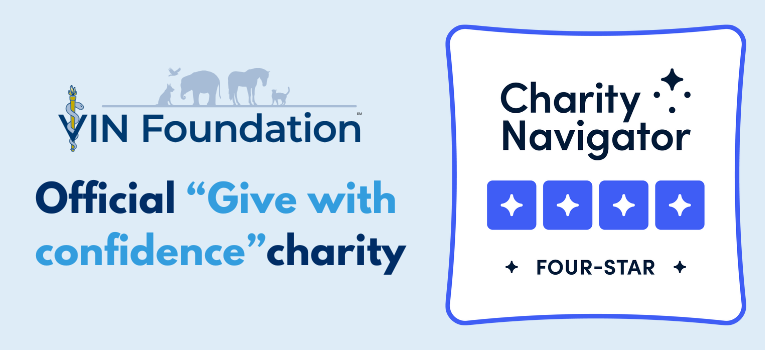 VIN Foundation Earns a Four-Star Rating From Charity Navigator