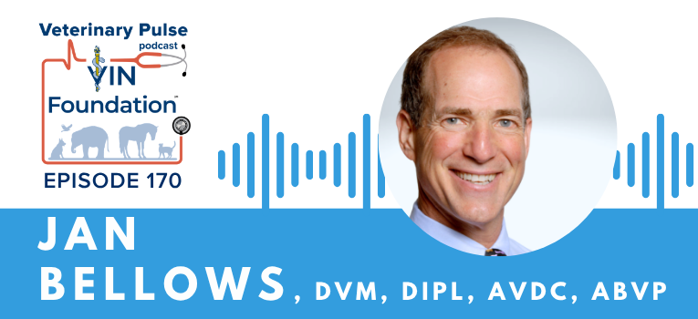 VIN Foundation | Supporting veterinarians to cultivate a healthy animal community | free resources veterinary students veterinarians | Blog | Veterinary Pulse Podcast | Dr. Jan Bellows on the power of finding your passion, and the importance of colleagues helping each other in the profession