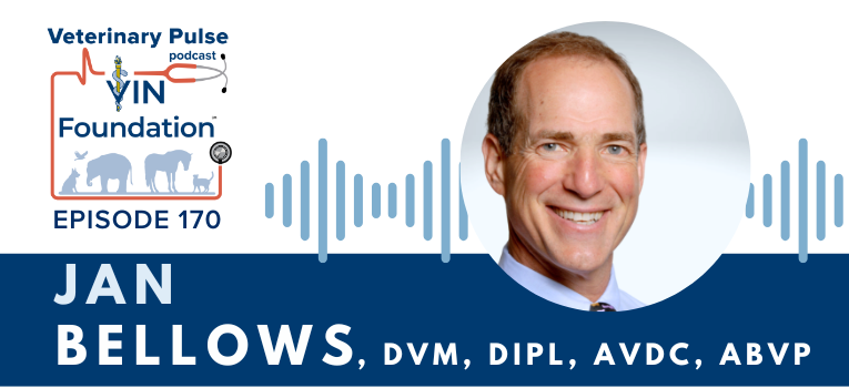 VIN Foundation | Supporting veterinarians to cultivate a healthy animal community | free resources veterinary students veterinarians | Blog | Veterinary Pulse Podcast | Dr. Jan Bellows on the power of finding your passion, and the importance of colleagues helping each other in the profession