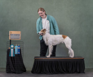 VIN Foundation Dr. Sophia Yin Memorial Fund Testimonial Impact Veterinarian Veterinary Behaviorist Lea Poppe