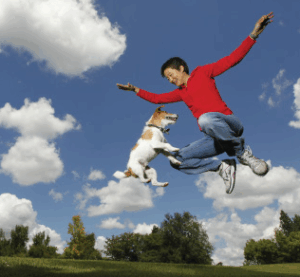 VIN Foundation | Supporting veterinarians to cultivate a healthy animal community | Resources | Dr. Sophia Yin Memorial Fund