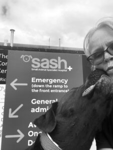 VIN Foundation Dr. Sophia Yin Memorial Fund Testimonial Impact Veterinarian Veterinary Behaviorist Vee Murtagh