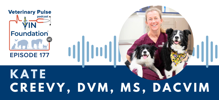 VIN Foundation | Supporting veterinarians to cultivate a healthy animal community | free resources veterinary students veterinarians | Blog | Veterinary Pulse Podcast | Dr. Kate Creevy on panic zone vs. stretch zone and the benefit of staying open to opportunities
