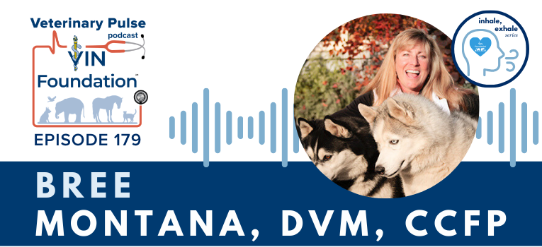 VIN Foundation | Supporting veterinarians to cultivate a healthy animal community | Nonprofit free veterinary resources | Blog | Veterinary Pulse Podcast | Veterinary Pulse Podcast with Dr. Bree Montana dives deep on preventing burnout and compassion fatigue
