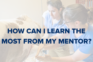 getthemostmentor